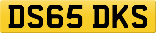 DS65DKS